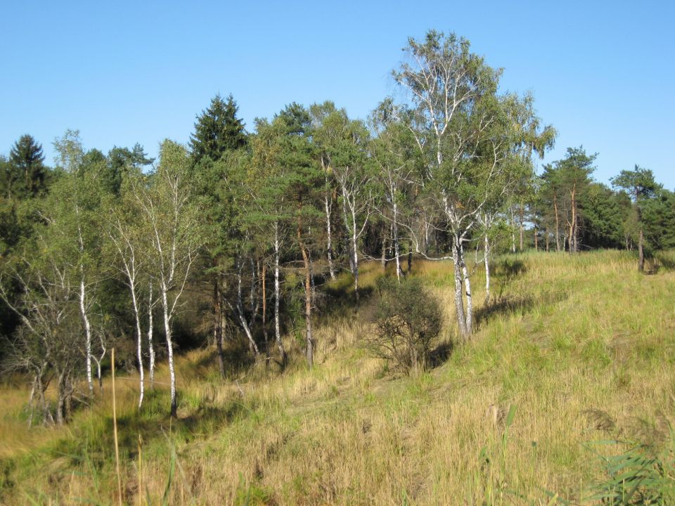 Kočevsko jezero-2.10.2011 - foto povečava