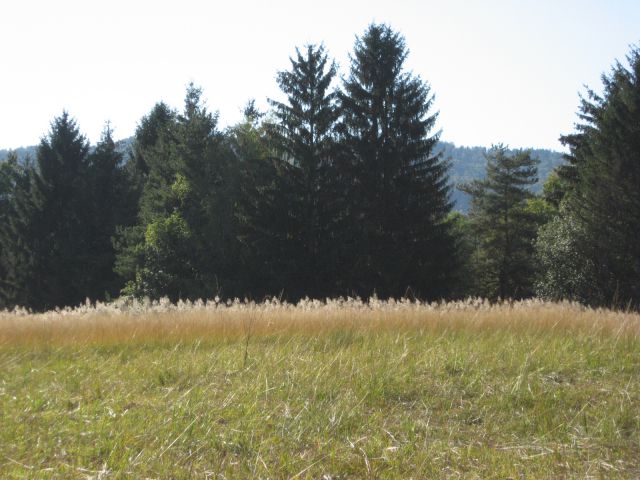 Kočevsko jezero-2.10.2011 - foto