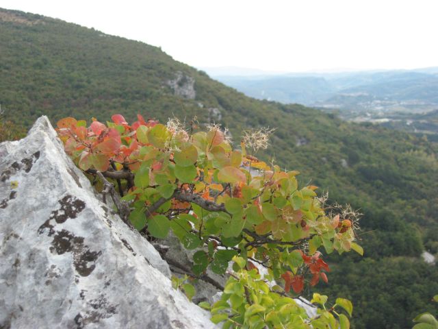 Okoli Movraške vale-23.10.2011 - foto