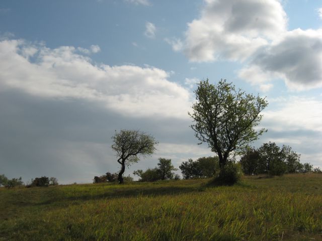 Okoli Movraške vale-23.10.2011 - foto