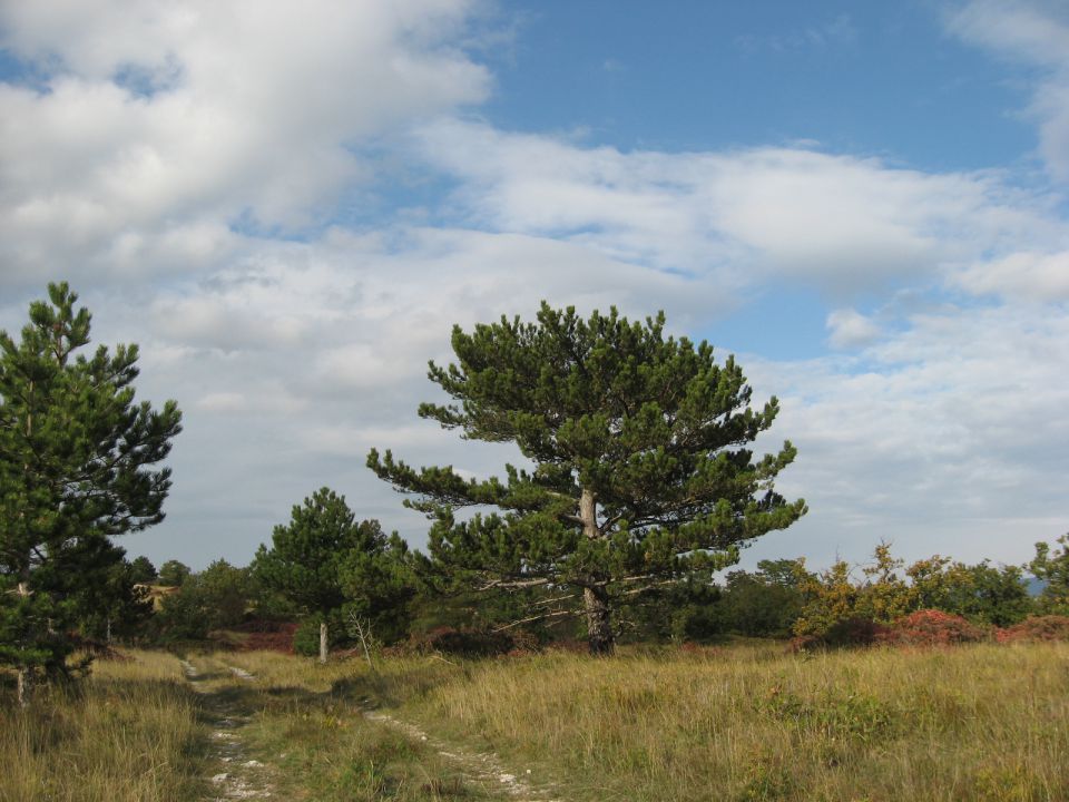 Okoli Movraške vale-23.10.2011 - foto povečava