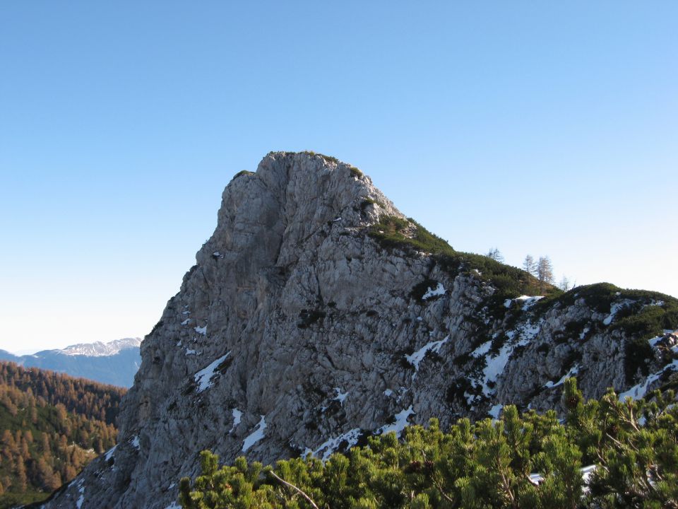 veliki selišnik