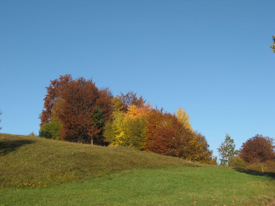 Čimerno-Kum-1.11.2011 - foto povečava