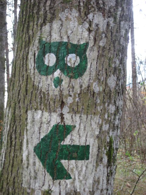 Oznaka za gozdno učno pot