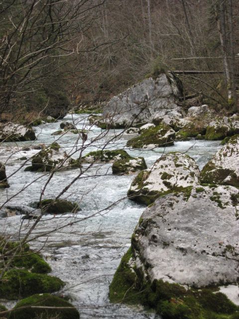 V zgornjem toku je v vodi čedalje več skal, balvanov