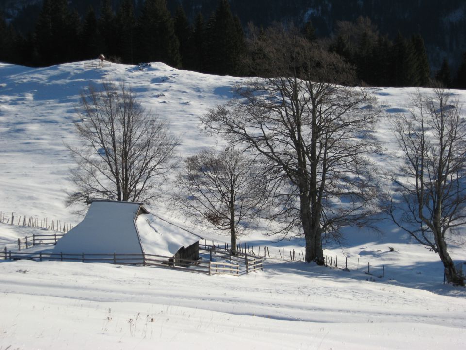 Kranjski Rak-Velika planina-20.12.2011 - foto povečava