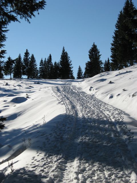 Malo snega, z lahkim korakom proti dovjemu stanu (dovja raven)
