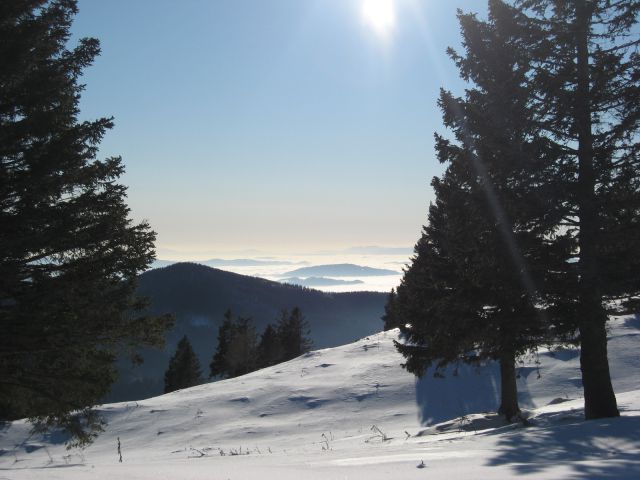 Kranjski Rak-Velika planina-20.12.2011 - foto