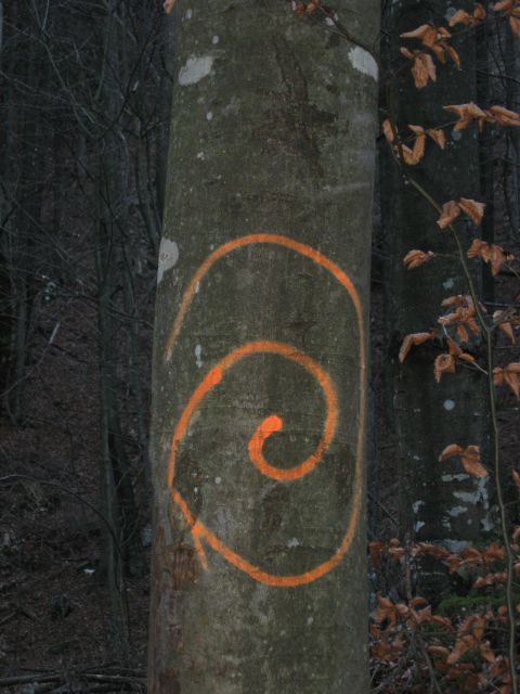 Le kaj pomeni ta znak na drevesu?