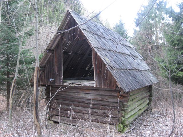 Sredi gozda propadajoča brunarica