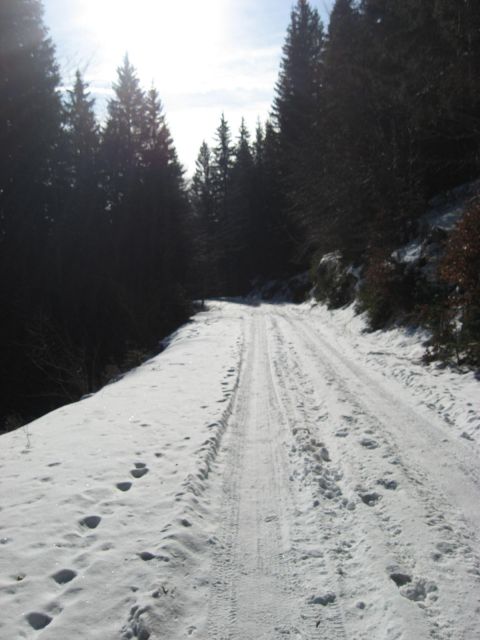Cesta je udobna za hojo, le pod tenko plastjo snega se marsikje skriva led