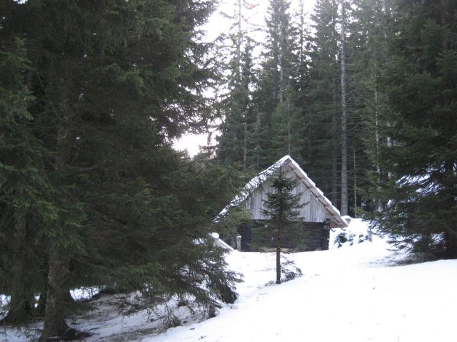 Hiška v gozdu