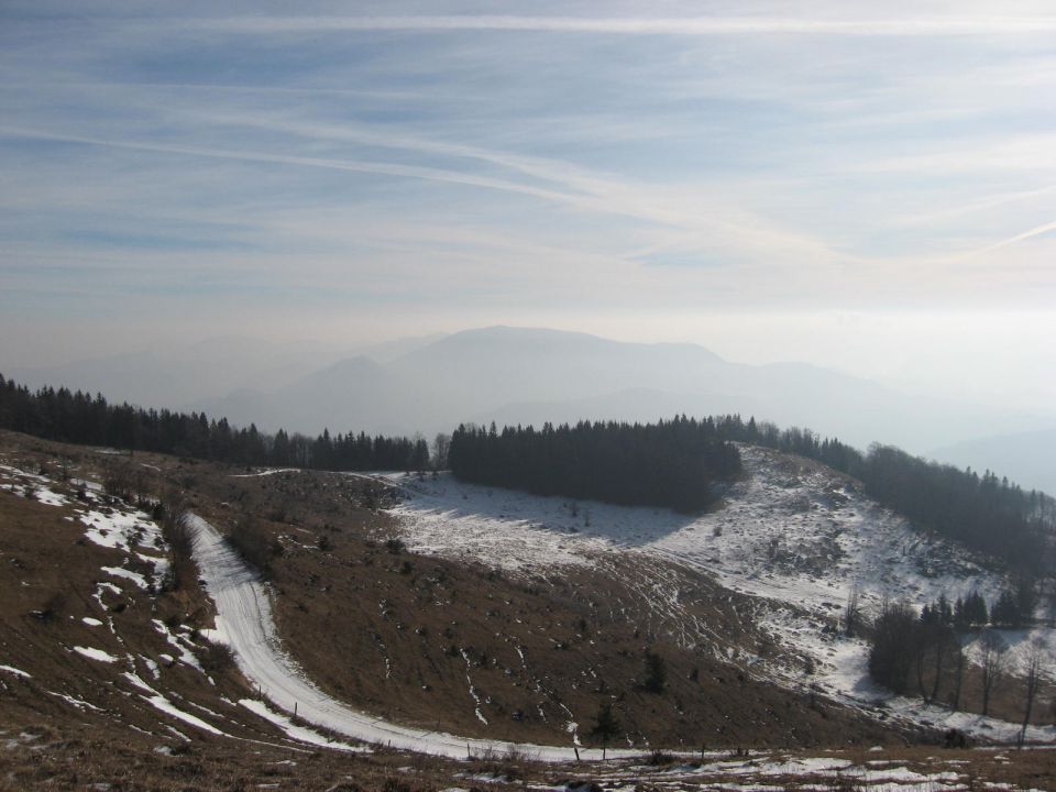 Lipa-Menina planina-28.1.2012 - foto povečava