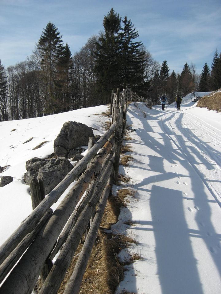 pašniki so ograjeni z lesenimi ograjami