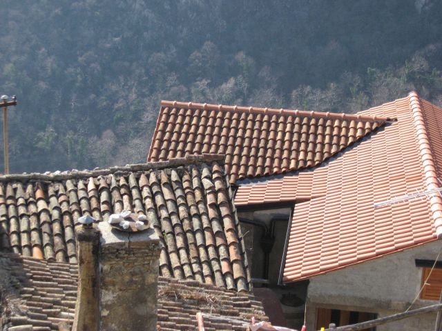 Stare in nove strehe