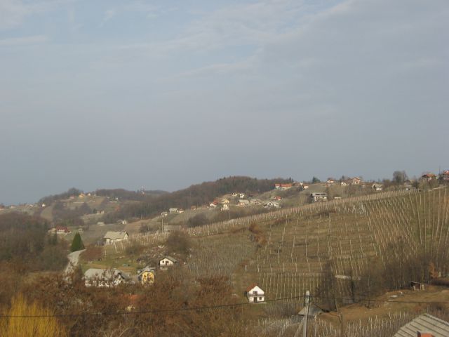 Razgibana pokrajina z veliko vinogradi