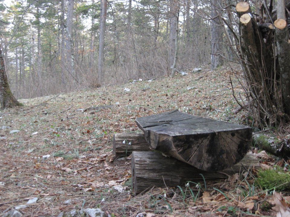 počivališče med zvončki