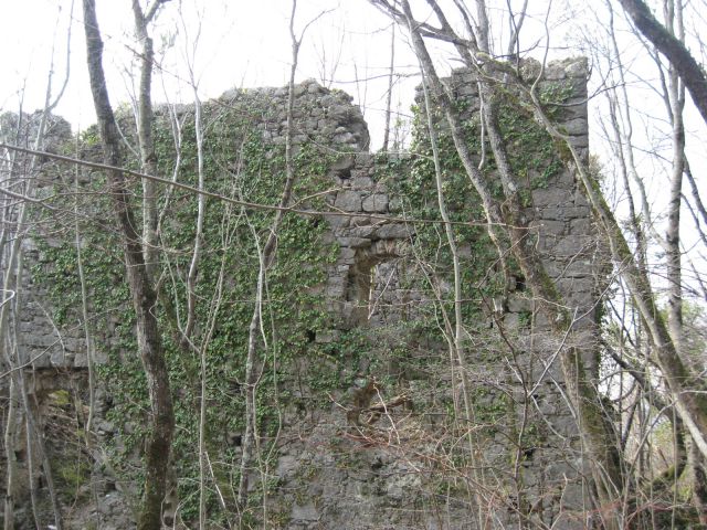 Veličastne ruševine gradu v gozdu nad vrbico