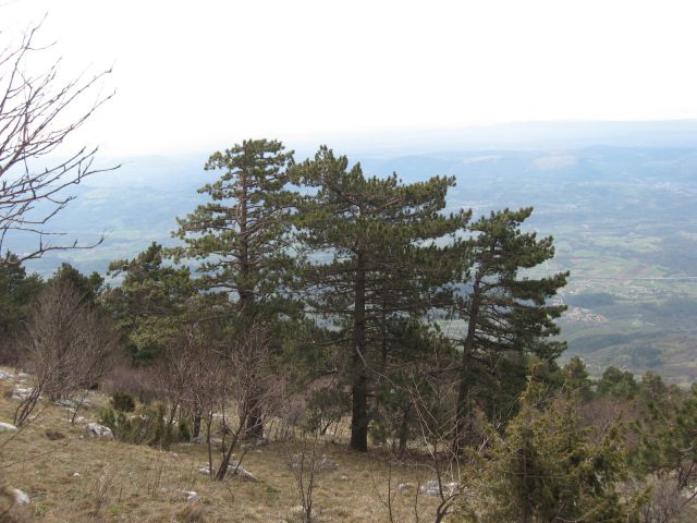 Kamnje-Kucelj – 9.4.2012 - foto