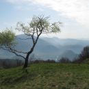 kratek trak soče spodaj