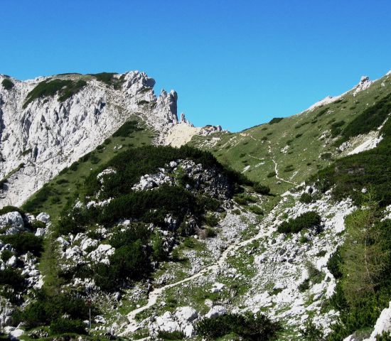 Vidi se steza, ki pelje s srenjskega prevala proti lipanci