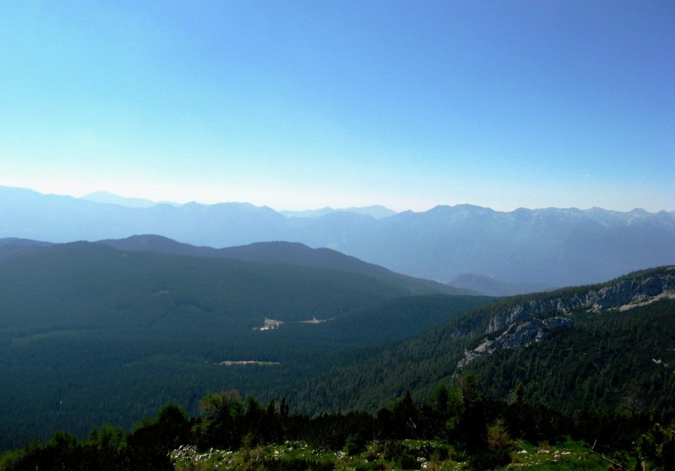 Rudno polje-Debeli vrh-18.6.2012 - foto povečava