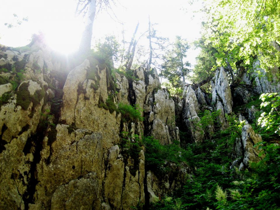 Samarske stene, Ratkovo sklonište-24.6.2012 - foto povečava