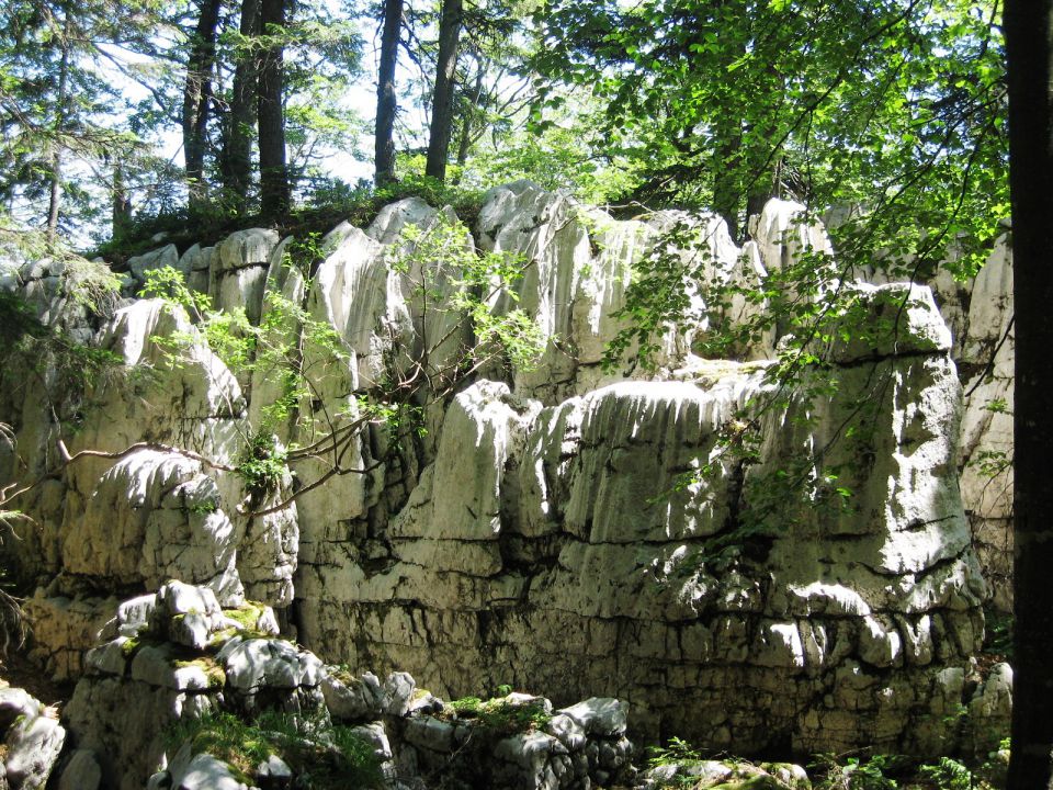 Samarske stene, Ratkovo sklonište-24.6.2012 - foto povečava