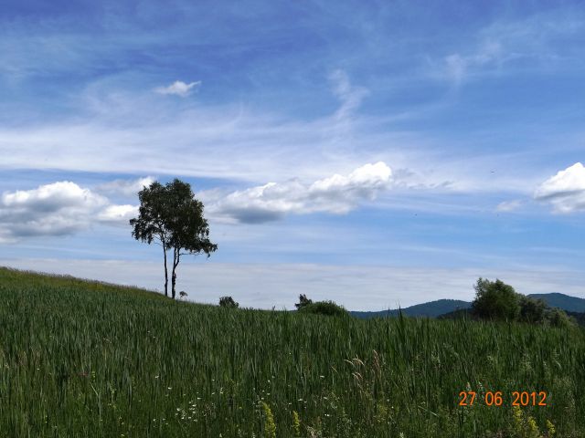 Domači logi - junij 2012 - foto