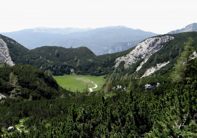 Stare stale s poti na vodotočnik