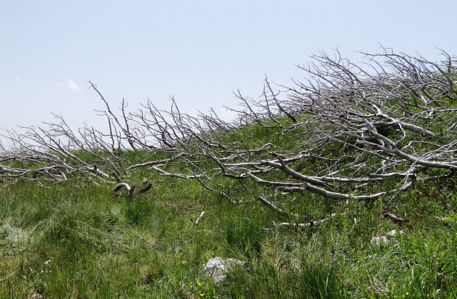 Lovska koča na Brežičih-Vodotočnik-1.7.2012 - foto