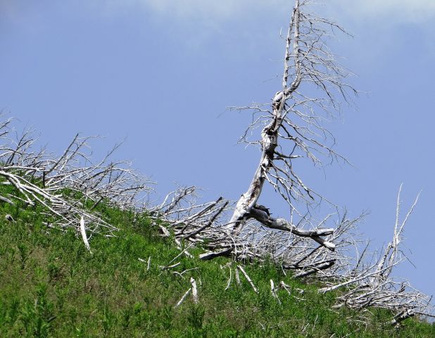 Lovska koča na Brežičih-Vodotočnik-1.7.2012 - foto