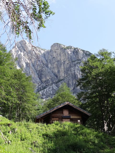 Gozdarska koča Brunner je obnovljena, jasa očiščena drevja...