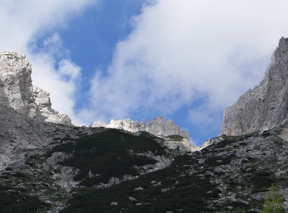 proti zgornji krnici Belega potoka