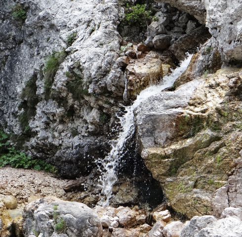 Bele vode–Bivak Gorizia – 7.7.2012 - foto