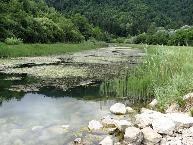 Brezje pri Nemški vasi-21.7.2012 - foto