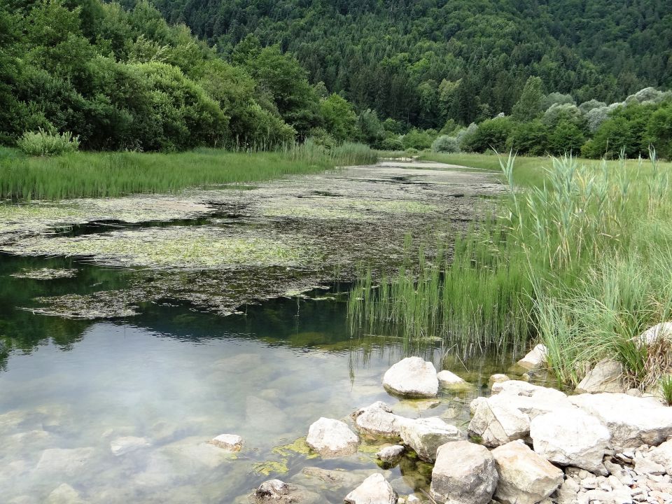 Brezje pri Nemški vasi-21.7.2012 - foto povečava