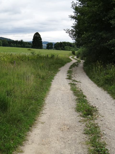 Poti, ki kar kličejo, da pogledaš, kam gredo...