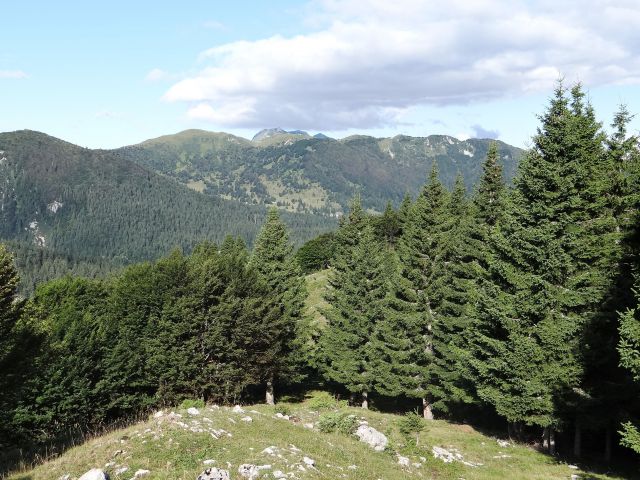 Prvi razgledi s travnikov danjarske planine proti vrhovom nad soriško planino