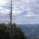 viharnik