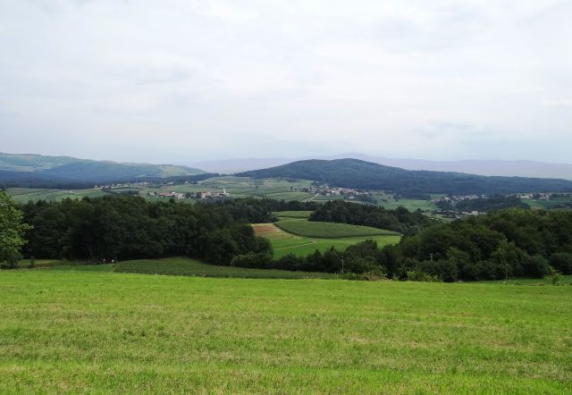 Dolenjska pokrajina