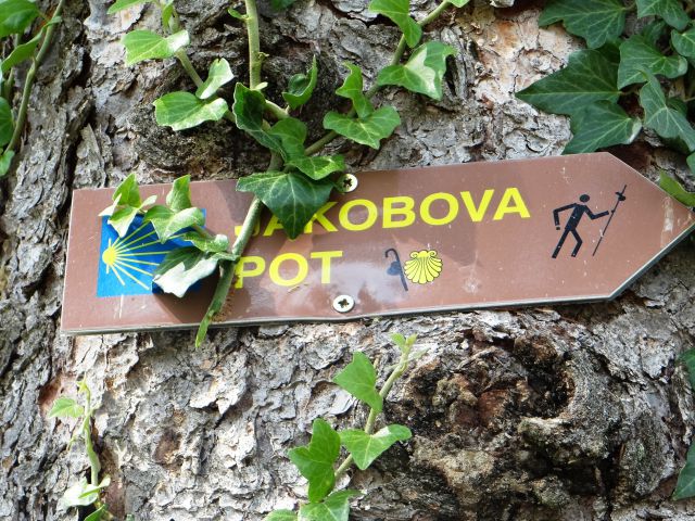 Tudi oznaka za slovensko jakobovo pot je skoraj prekrita