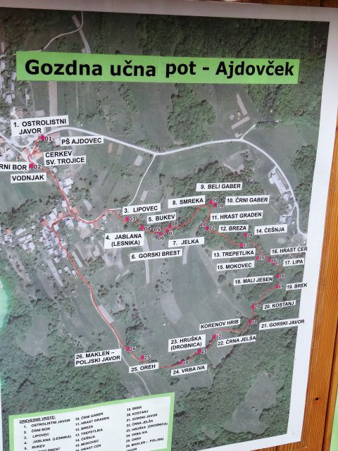 Pri osnovni šoli v ajdovcu