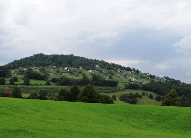 Zidanice in vinogradi na hribu