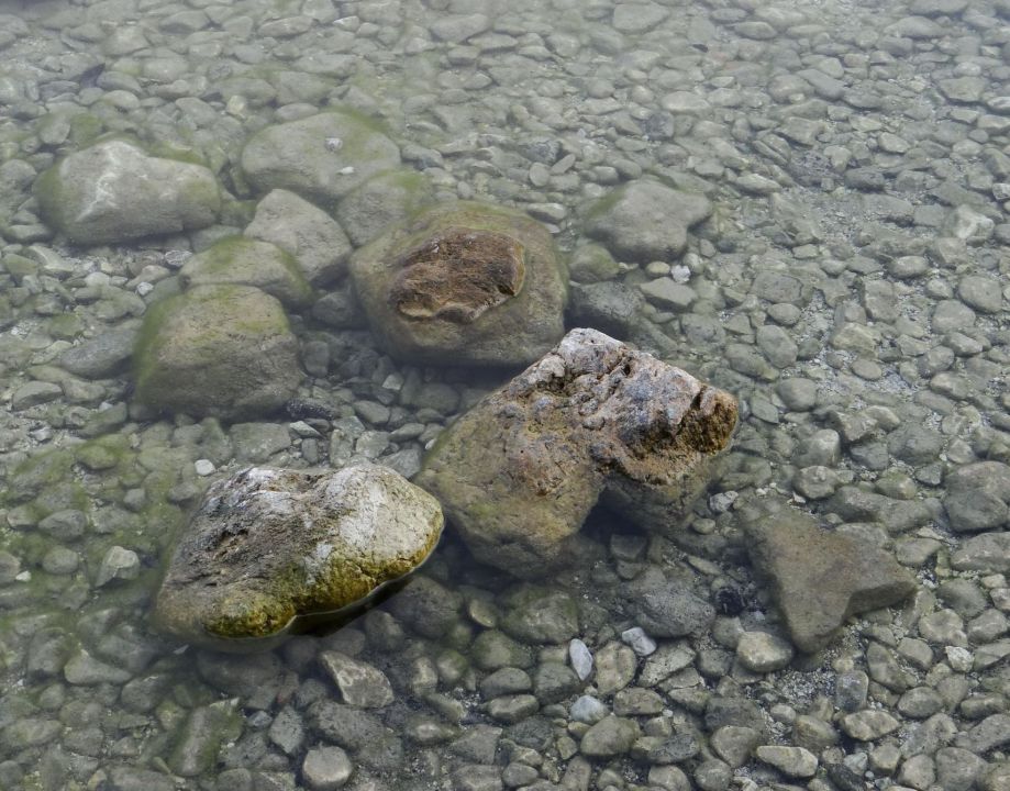 troje src v bohinjskem jezeru, 21.8.2013