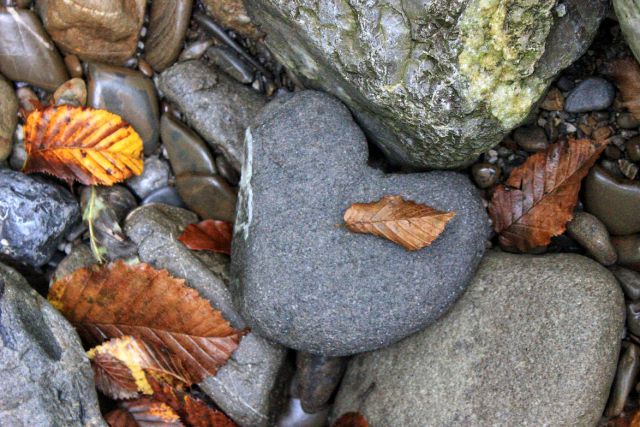 Ob potoku Iševnica, Zeleni vir, 5.10.2014