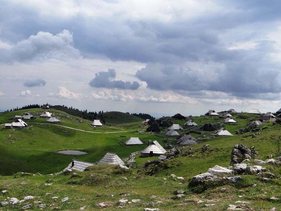 Velika planina-10.8.2012 - foto povečava