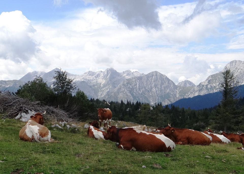 nekateri imajo popoldanski počitek