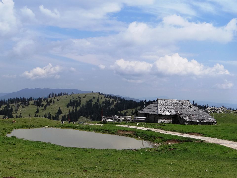 Velika planina-10.8.2012 - foto povečava