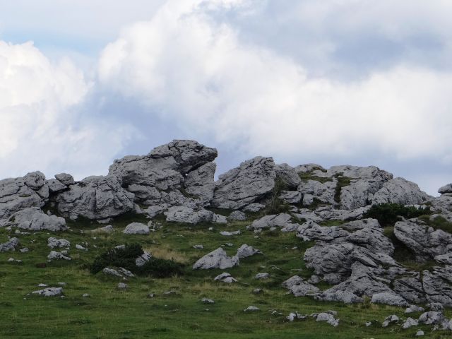 Velika planina-10.8.2012 - foto